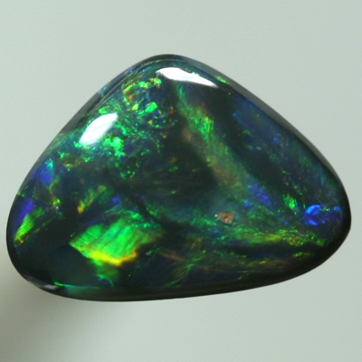 SOLID BLACK OPAL Bright orange amongst green